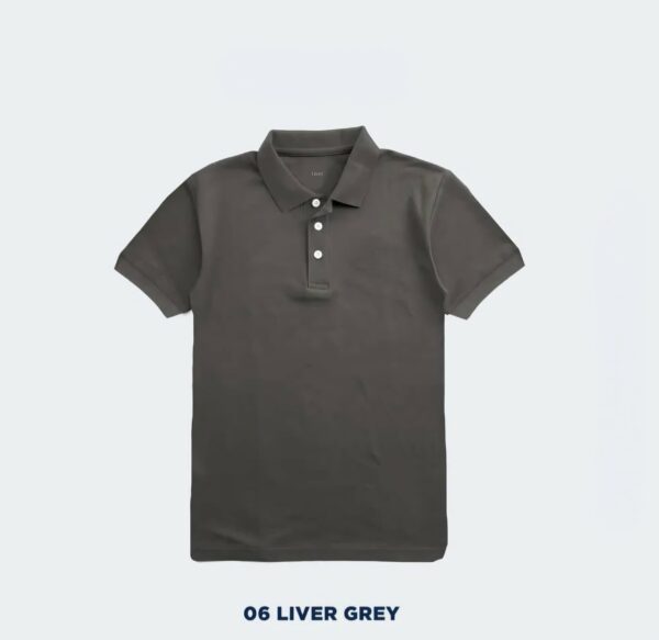 06 Liver Grey