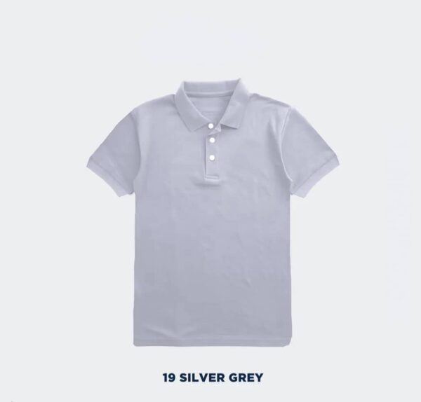 19 Silver Grey